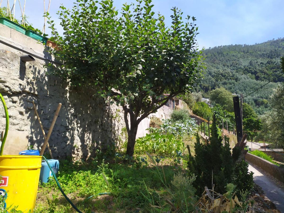 Casa Da Rota Dos Moinhos Appartement Lousã Buitenkant foto